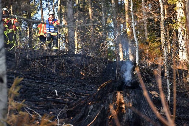 Verkohlte Baumstmpfe zeugen noch von dem Feuer am Waldboden.  | Foto: Nicolai Kapitz