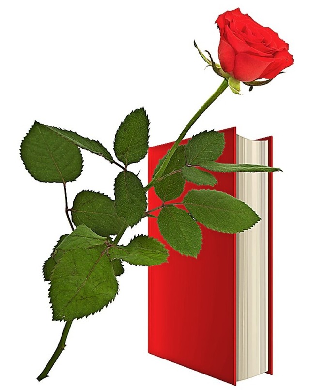 Rose und Buch &#8211; zum Fest der Liebe und der Lektre  | Foto: Dreadlock  (stock.adobe.com)