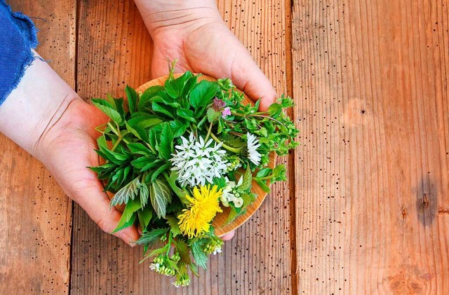 Brennnessel, Lwenzahn und Co. ergeben...sondern sind auch gesundheitsfrdernd.  | Foto: eflstudioart (stock.adobe.com)