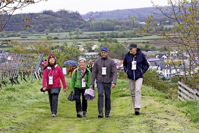 Wandern und schlemmen