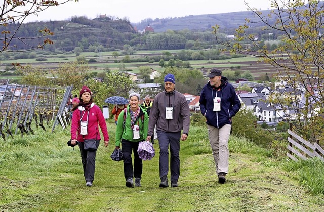 Gute Laune trotz Regenwetter herrschte...nderung in Bahlingen (im Hintergrund).  | Foto: Christiane Franz