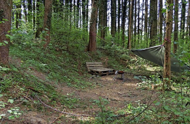 Der &#8222;Festplatz&#8220; im flinger Privatwald   | Foto: Gerd Leutenecker