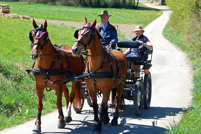 Eckhart Hanser ist nun fter hoch auf dem Wagen anzutreffen.  | Foto: Petra Wunderle