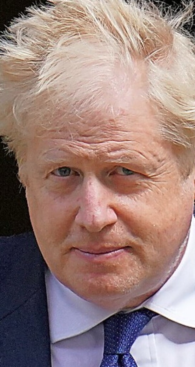 Johnson  | Foto: Jonathan Brady (dpa)