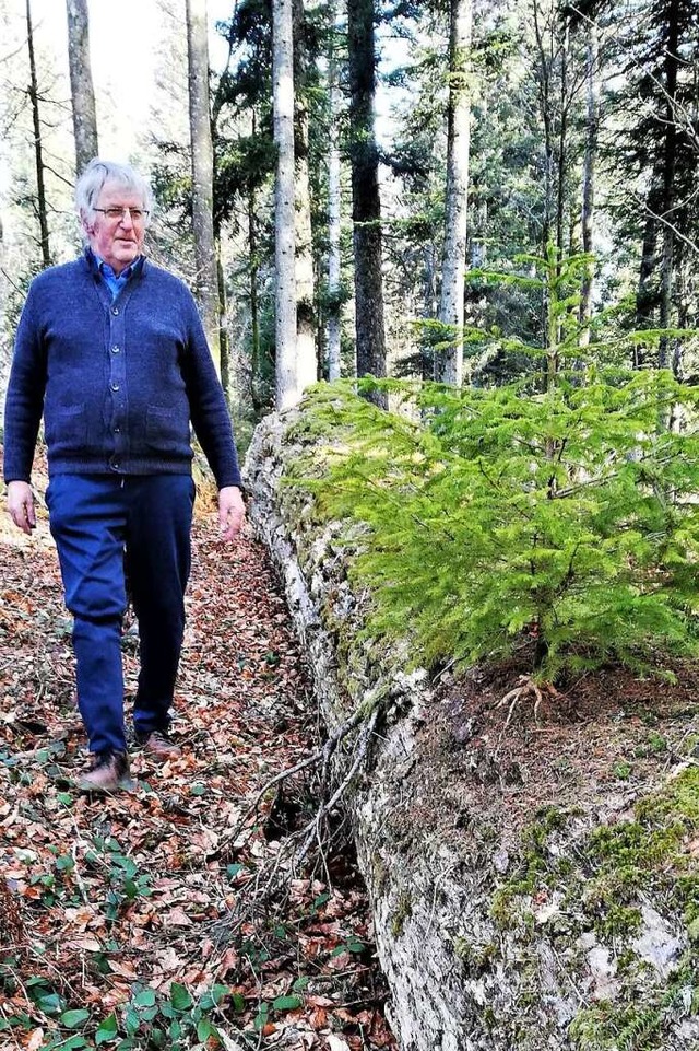 Gerd Sutter am Stamm der Gersbacher Ta...im Wald liegt, quasi als Naturdenkmal.  | Foto: Heinz Scholz