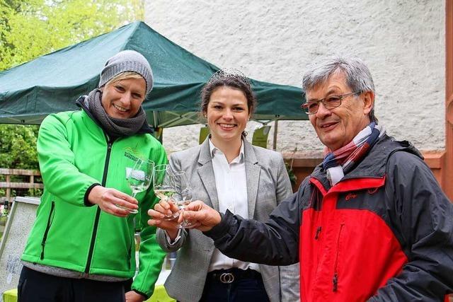 Jungweinprobe lockt Weinliebhaber trotz nasskaltem Wetter auf den Katharinenberg