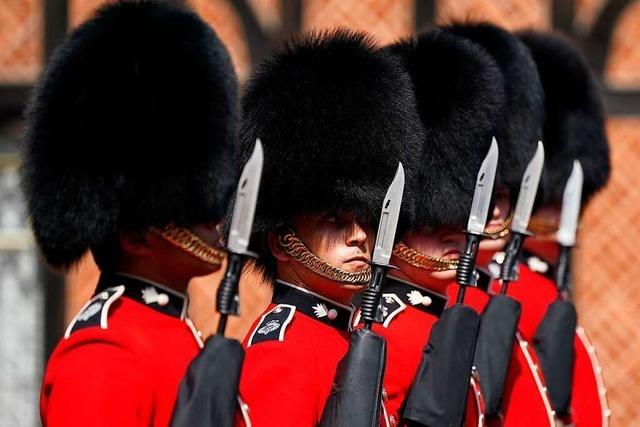 Tierschützer fordern Kunstpelz für die Mützen der Queen-Wachen