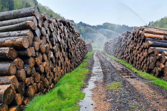 Forst muss mehrstufige Kläranlage für Nassholzlager bei Tegernau bauen