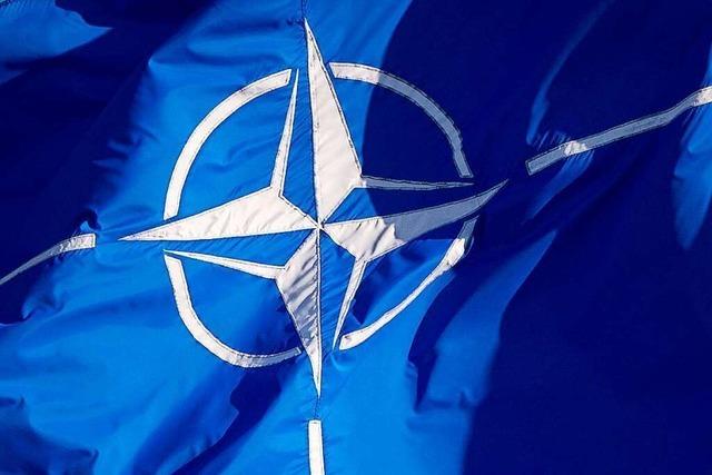 Diese Waffen liefern andere Nato-Länder an die Ukraine