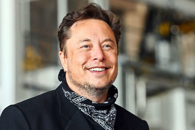 Elon Musk  | Foto: Patrick Pleul (dpa)