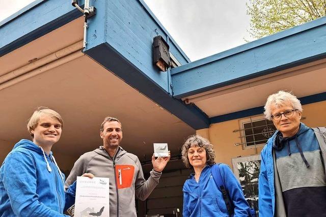 Das Breisacher Waldschwimmbad ist ein Quartier fr Fledermuse