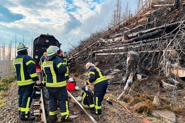 Grofeuer im Nationalpark Harz: Menschen mussten am Brocken ausharren