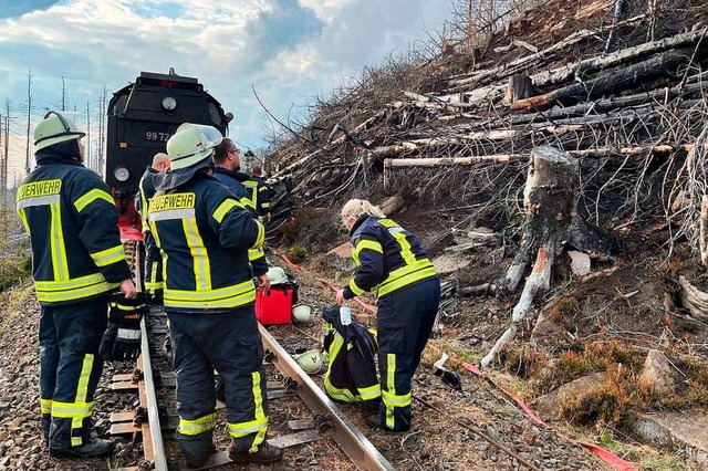 Feuerwehrleute stehen vor einem abgebr...Harzes war ein Grofeuer ausgebrochen.  | Foto: Matthias Bein (dpa)