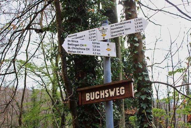 Acht Tipps fr den Wald rund um Grenzach-Wyhlen