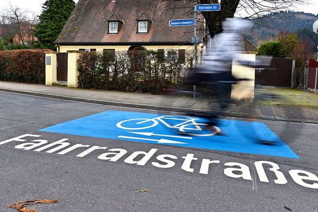In Freiburg gibt es sie schon an mehre...nte auch eine Fahrradstrae entstehen.  | Foto: Thomas Kunz