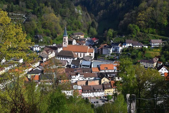 Zell von Sden: Noch sehr wenige Dche...en fr diesen Zweck verpachtet werden.  | Foto: Nicolai Kapitz