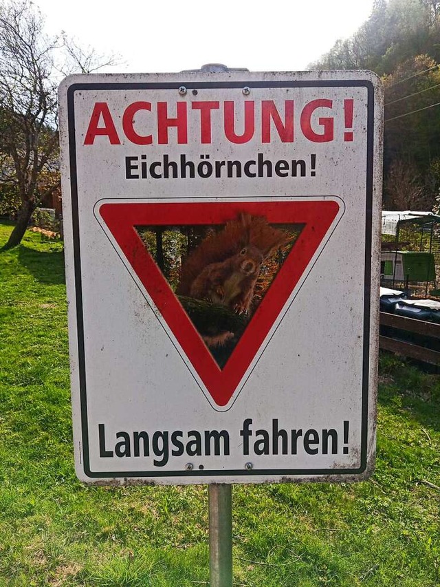 Ein Hinweisschild am Waldrand von Freiburg  | Foto: Marion Kltzer