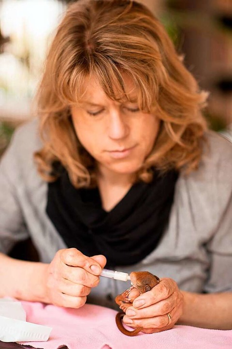 Stephanie Buchholz füttert ein Eichhörnchenjunges.  | Foto: privat
