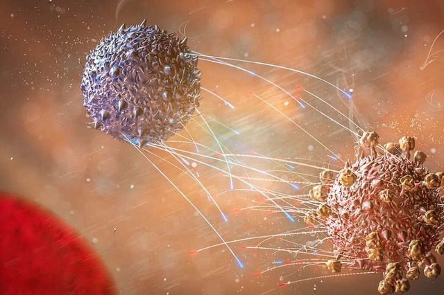 Wie aktiviert man T-Zellen gegen mgli...Der Frage gehen Forscher derzeit nach.  | Foto: catalin (stock.adobe.com)