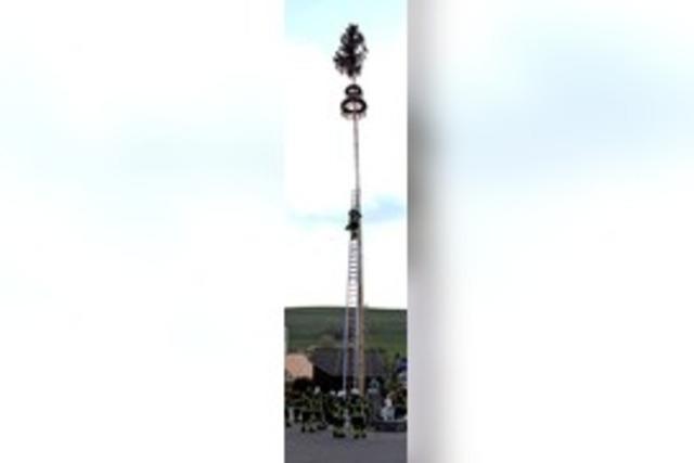 Maibaum steht