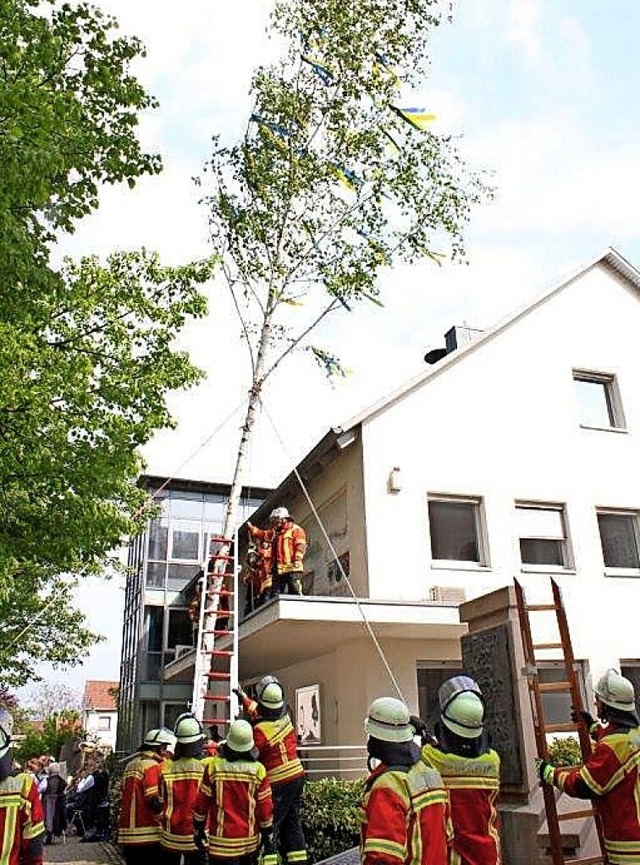 Der Maibaum in Hartheim steht.  | Foto: Otmar Faller