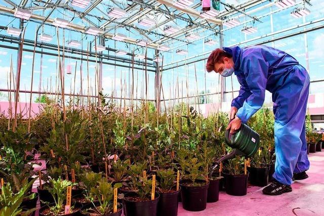 Pflanzentechnologen brauchen Forschergeist