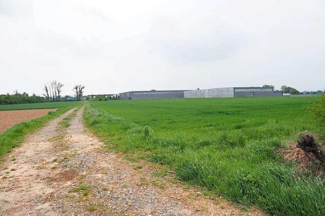 In Herbolzheim entstehen neun Hektar neue Gewerbefläche