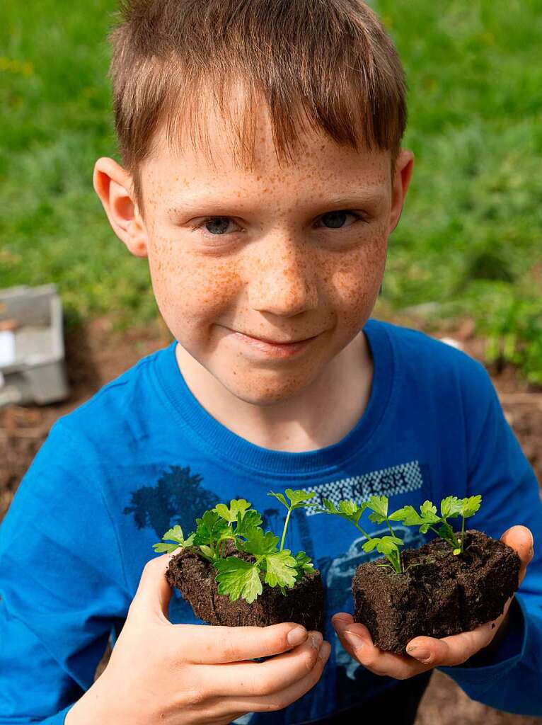 Ackern ist cool. Das finden die Schler/innen der 3. bis 6. Klassen des Bildungszentrums Bonndorf. Sie bepflanzen und pflegen einen Gemseacker in der Gartenstrae.