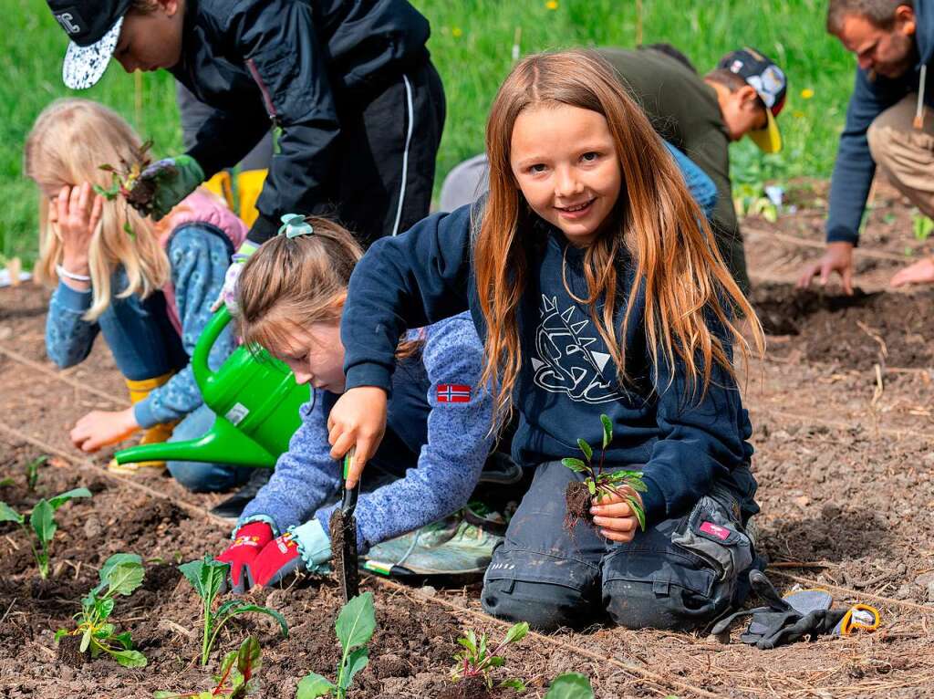 Ackern ist cool. Das finden die Schler/innen der 3. bis 6. Klassen des Bildungszentrums Bonndorf. Sie bepflanzen und pflegen einen Gemseacker in der Gartenstrae.