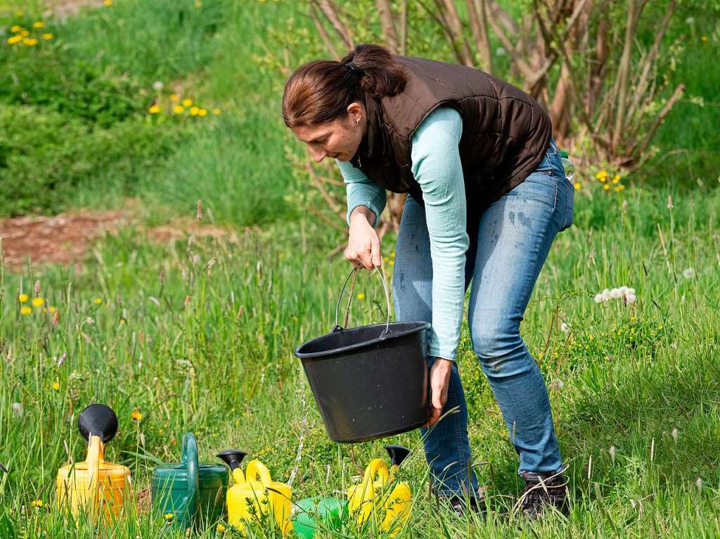 Ackern ist cool. Das finden die Schler/innen der 3. bis 6. Klassen des Bildungszentrums Bonndorf. Sie bepflanzen und pflegen einen Gemseacker in der Gartenstrae.