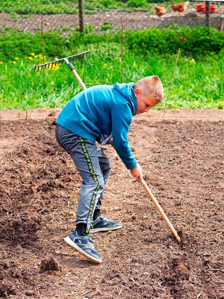 Ackern ist cool. Das finden die Schler/innen der 3. bis 6. Klassen des Bildungszentrums Bonndorf. Sie bepflanzen und pflegen einen Gemseacker in der Gartenstrae.