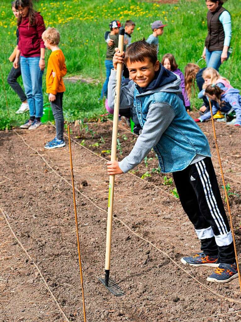 Ackern ist cool. Das finden die Schler/innen der 3. bis 6. Klassen des Bildungszentrums Bonndorf. Sie bepflanzen und pflegen einen Gemseacker in der Gartenstrae.