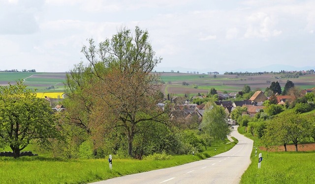 Der Erhalt der Streuobstwiesen und der...rten lndlichen Entwicklungskonzeptes.  | Foto: Herbert Frey