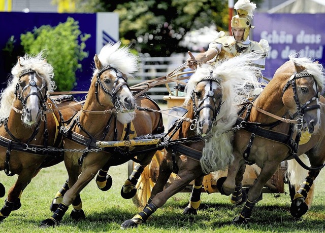 Ein Magnet der Eurocheval ist  die Gal...mit ihren hochkartigen Vorfhrungen.   | Foto: Messe Offenburg/Iris Rothe