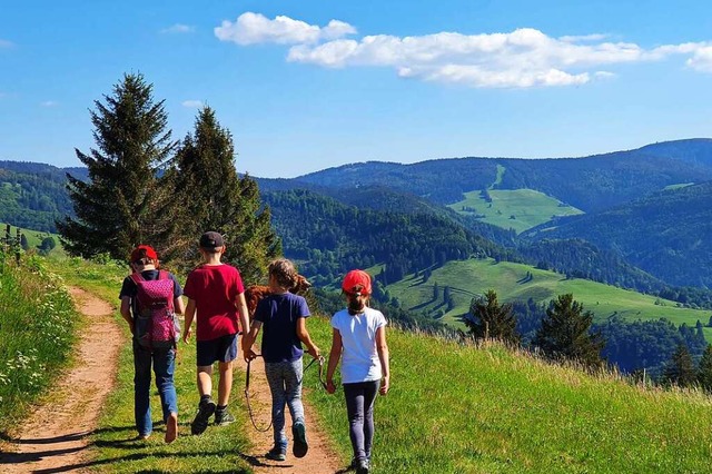 Vom Mnstertler Stohren aus genieen ...lten aber stets bercksichtigt werden.  | Foto: Pia Riesterer