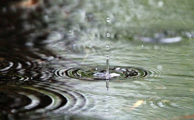 Wenn es regnet, muss das Wasser irgend...11; am besten, es versickert im Boden.  | Foto: Jan Woitas