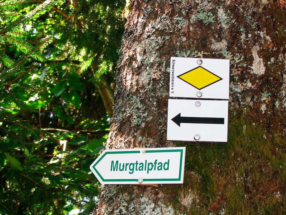 Der Murgtalpfad ist in die Jahre gekom...l Aufwand wieder zum Wandern einladen.  | Foto: Victoria Langelott