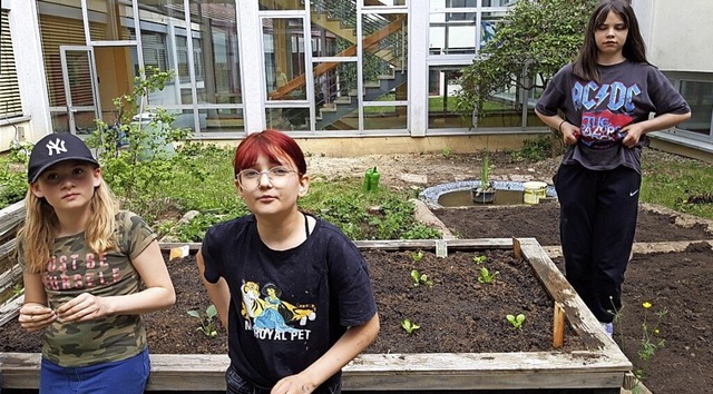 Drei Realschlerinnen helfen beim Bepflanzen der Beete.  | Foto: Realschule Wehr