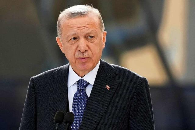 Die syrischen Flüchtlinge in der Türkei werden zum Problem für Erdogan