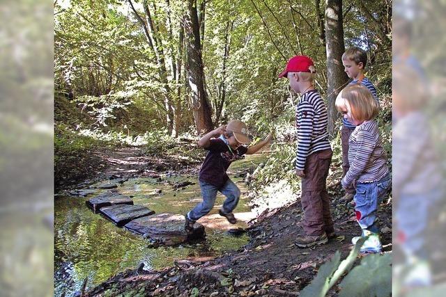 Am Bach entlang durchs Sulzbachtal