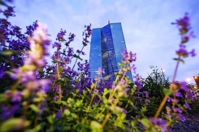 Das Zaudern der Europischen Zentralbank muss enden