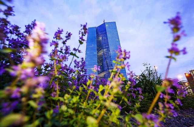 Die Zentrale der Europischen Zentralbank (EZB) in Frankfurt  | Foto: Frank Rumpenhorst (dpa)