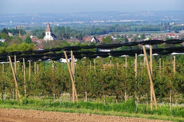 Gemeinderat Binzen lehnt die Umfahrung Rmmingen ab