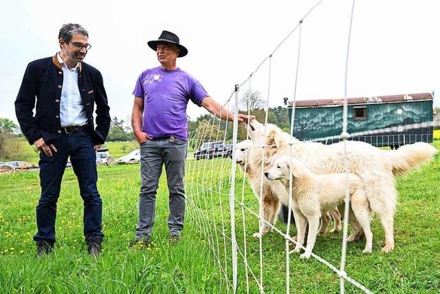 So soll Konflikten zwischen Wolf und Mensch vorgebeugt werden