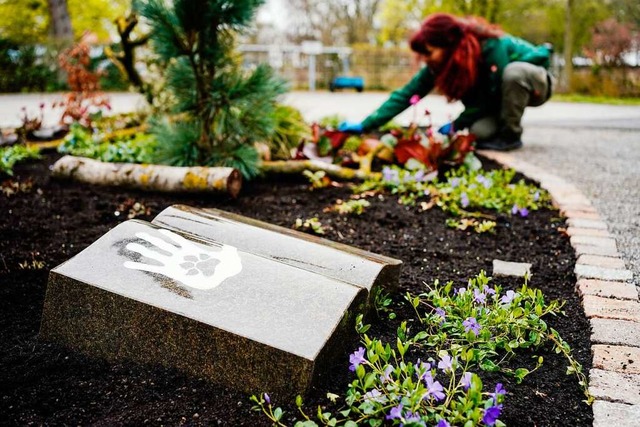 Friedhofsgrtnerin auf dem Friedhof Ladenburg  | Foto: Uwe Anspach (dpa)