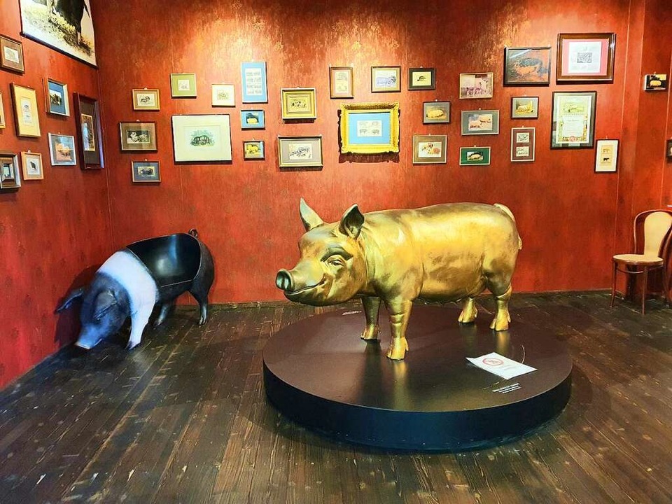 Echt goldig: Glücksschwein  | Foto: Schweine-Museum