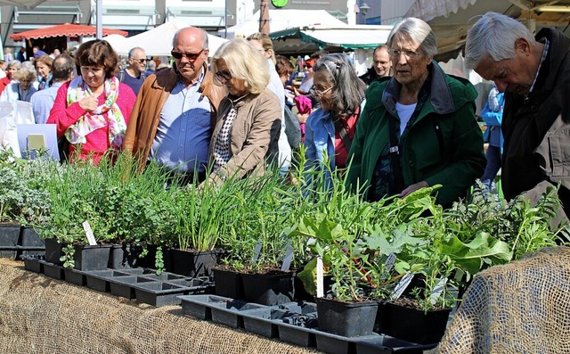 Bereits der Regionalmarkt 2019 war viel besucht.   | Foto: Annika Sindlinger