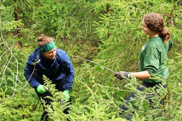 Freiwillige helfen im Naturpark Sdschwarzwald bei der Naturpflege mit.  | Foto: Otto Schnekenburger