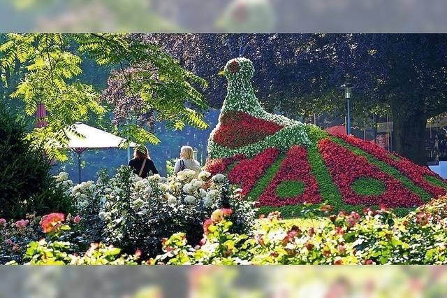 Am Wochenende wird der Bad-Krozinger Kurpark zur Messe fr Garten, Kunst und Handwerk