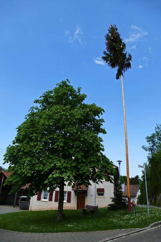 In Welmlingen hat der Verein &#8222;Br...nd der Maibaum gestellt werden konnte.  | Foto: Victoria Langelott